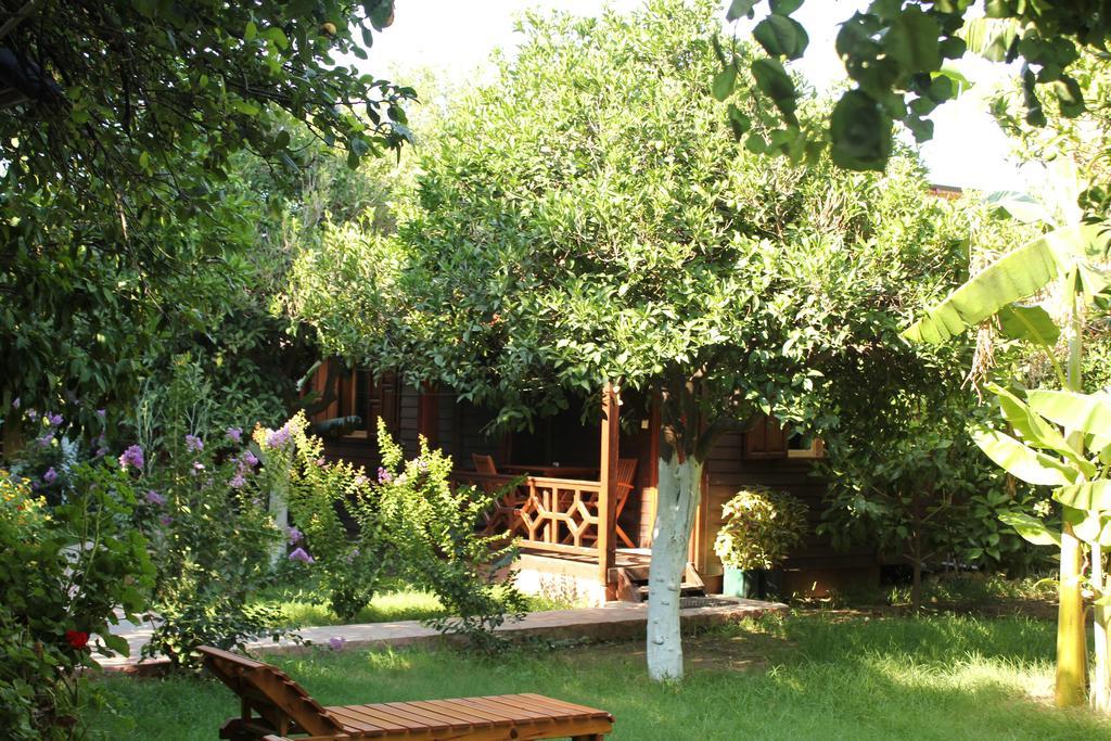 Grand Aygun Hotel Çıralı Quarto foto